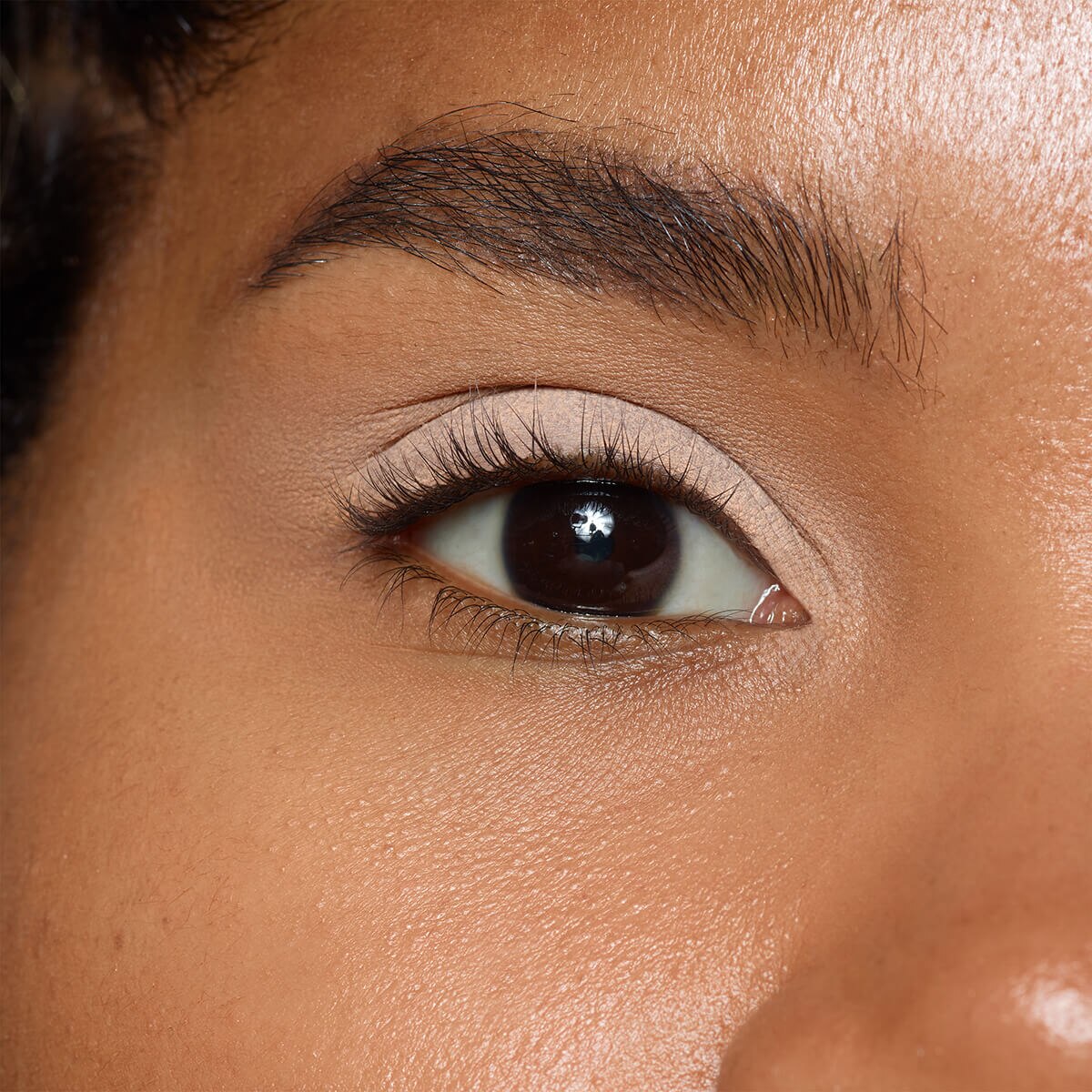 MAGNETIC EYE COLOR (SOMBRA DE OJOS)